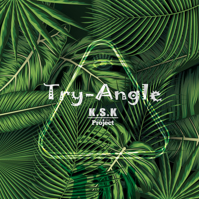 Try-Angleのジャケット写真