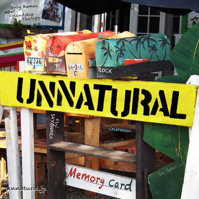 Memory Card Front Cover