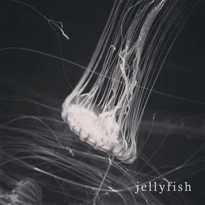 jellyfish Front Cover