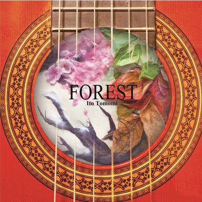 FOREST Front Cover