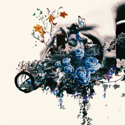 Because we Front Cover