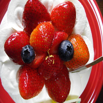 写真のジャケット写真