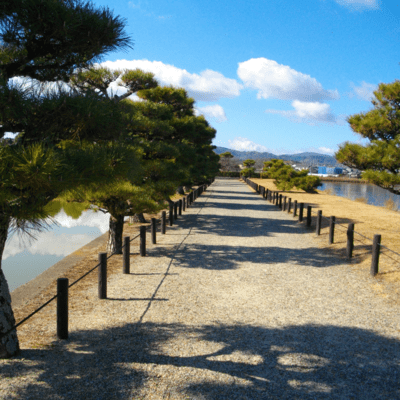 Hop Step Chance Front Cover