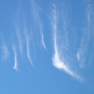 river of light Front Cover