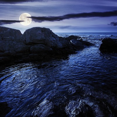 The Black Ocean Front Cover