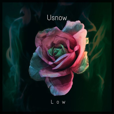 Low Front Cover