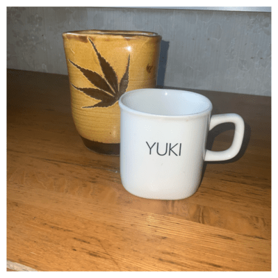 YUKI Front Cover
