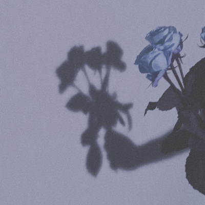 季節のジャケット写真