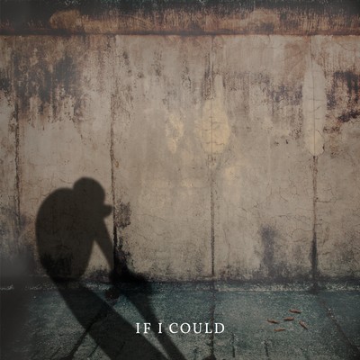 If I Couldのジャケット写真
