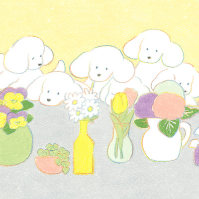 Beautiful Flowers Front Cover