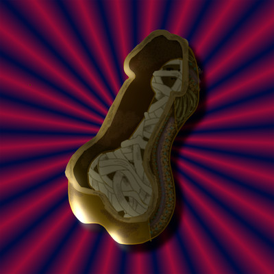 Chinpo de Half a million Front Cover