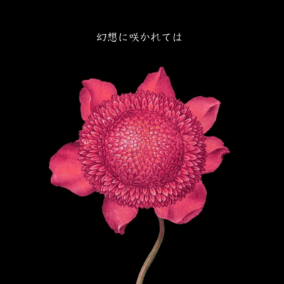 幻想に咲かれてはのジャケット写真