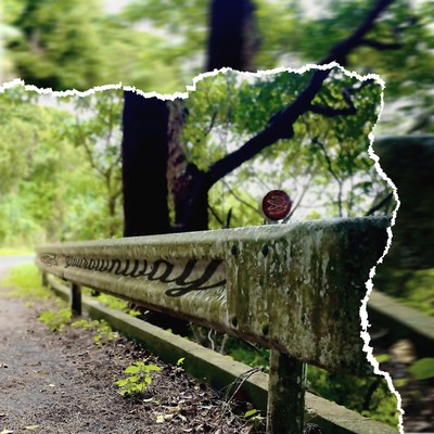 Your own wayのジャケット写真