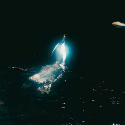 Soft Soundのジャケット写真