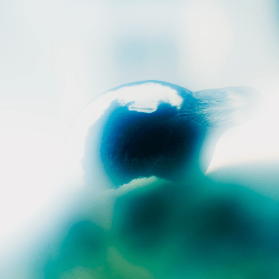 タビサライのジャケット写真