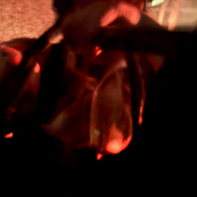 ぶれいば〜のジャケット写真