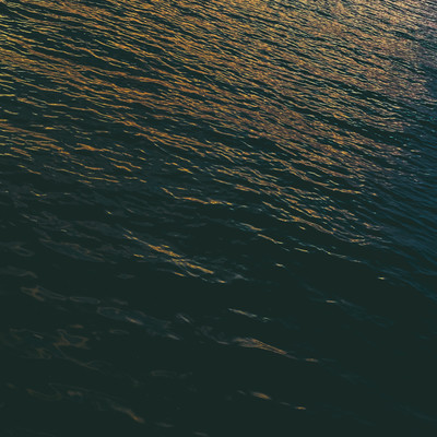 セイレーンのジャケット写真