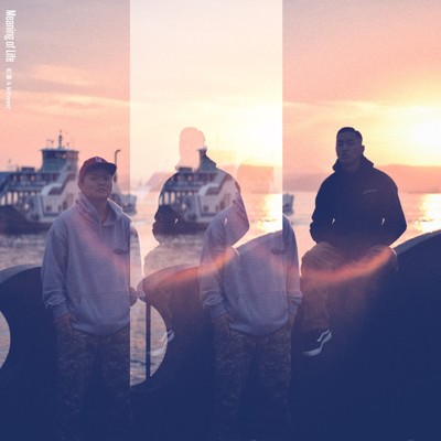 Meaning of Life Front Cover