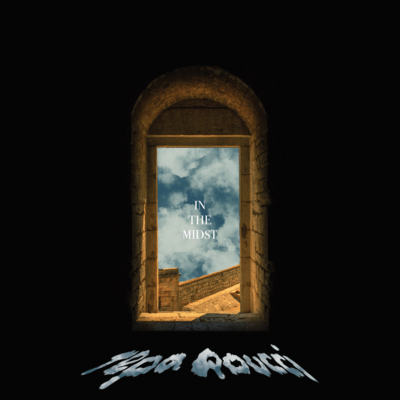 In the Midstのジャケット写真
