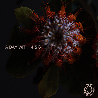 A Day With.456 Front Cover