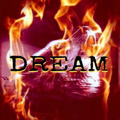 DREAMのジャケット写真