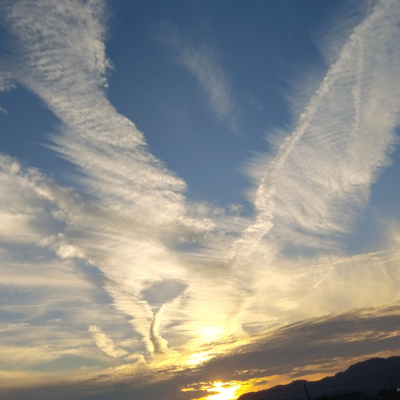 To You Who Has Become Transparent (feat. yuki) Front Cover