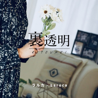 Back transparent Front Cover