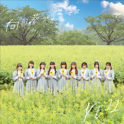YELL Front Cover