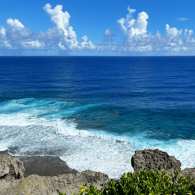 Cobalt blue Front Cover