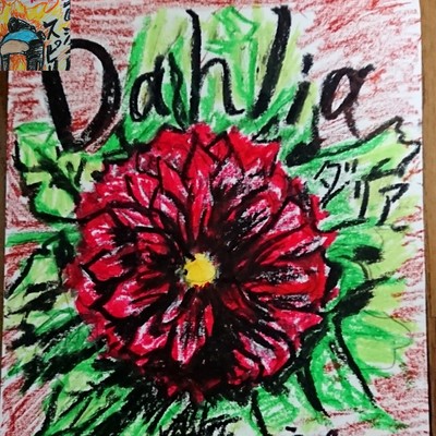 Dahlia Front Cover