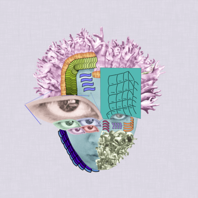 顔のジャケット写真