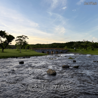 Can't feel summer Front Cover