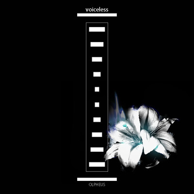 繋のジャケット写真