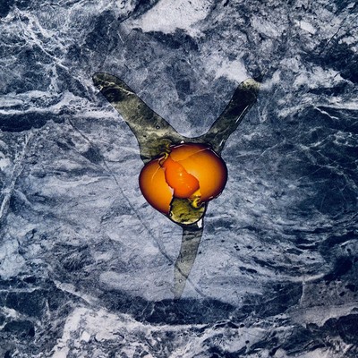 時すでにのジャケット写真