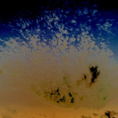 Marriage Of Fluid Front Cover