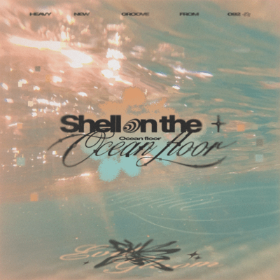 Shell on the Ocean Floor Front Cover