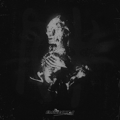 QDANN Front Cover