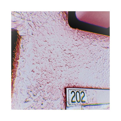 202 (feat. Kanayo) Front Cover