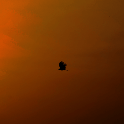 begin again Front Cover