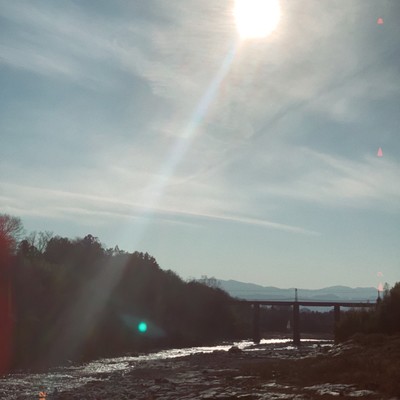 青年のジャケット写真