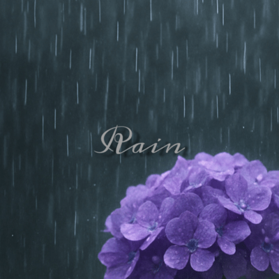 Rainのジャケット写真