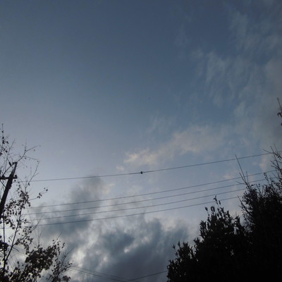 変遷する心のジャケット写真