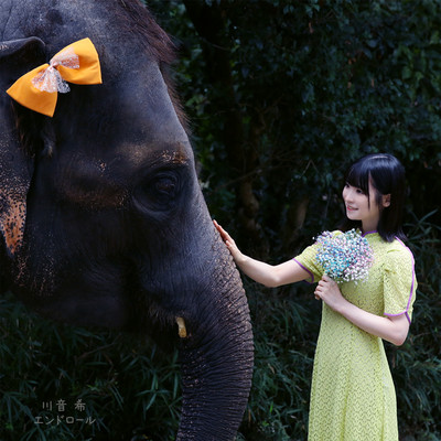 エンドロールのジャケット写真