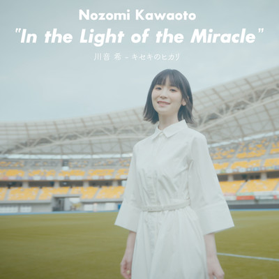 In the Light of the Miracle Front Cover