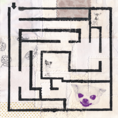 Mad Chihuahua Front Cover