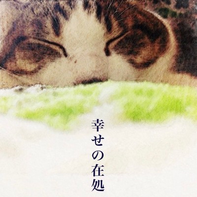 幸せの在処のジャケット写真
