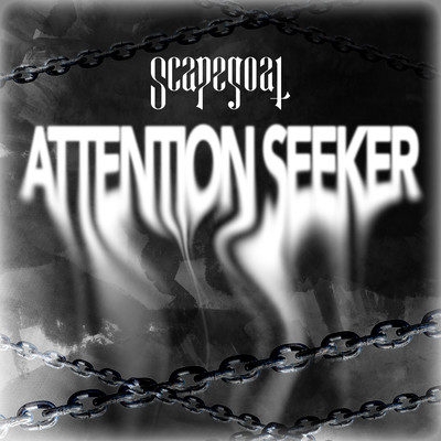 attention seeker Front Cover