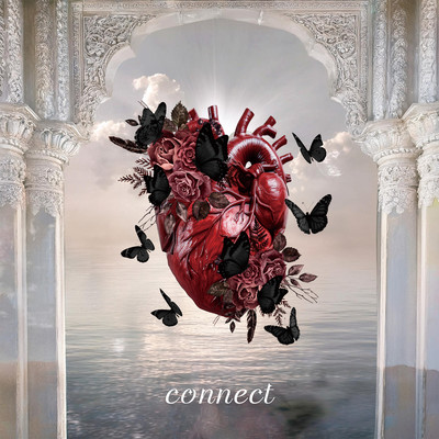 connect Front Cover