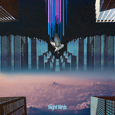 Night Birds (feat. Shohei Miyawaki) Front Cover