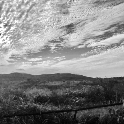 Pondering North Front Cover